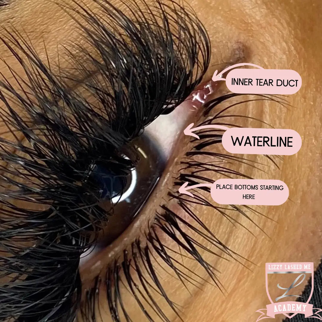 Bottom Lash Extensions